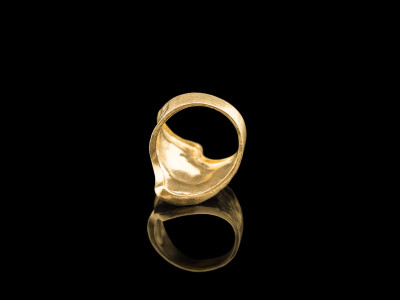NATÜRLICHE ELEGANZ | Vergoldeter 925 Silber-Ring mit gehämmerter Oberfläche